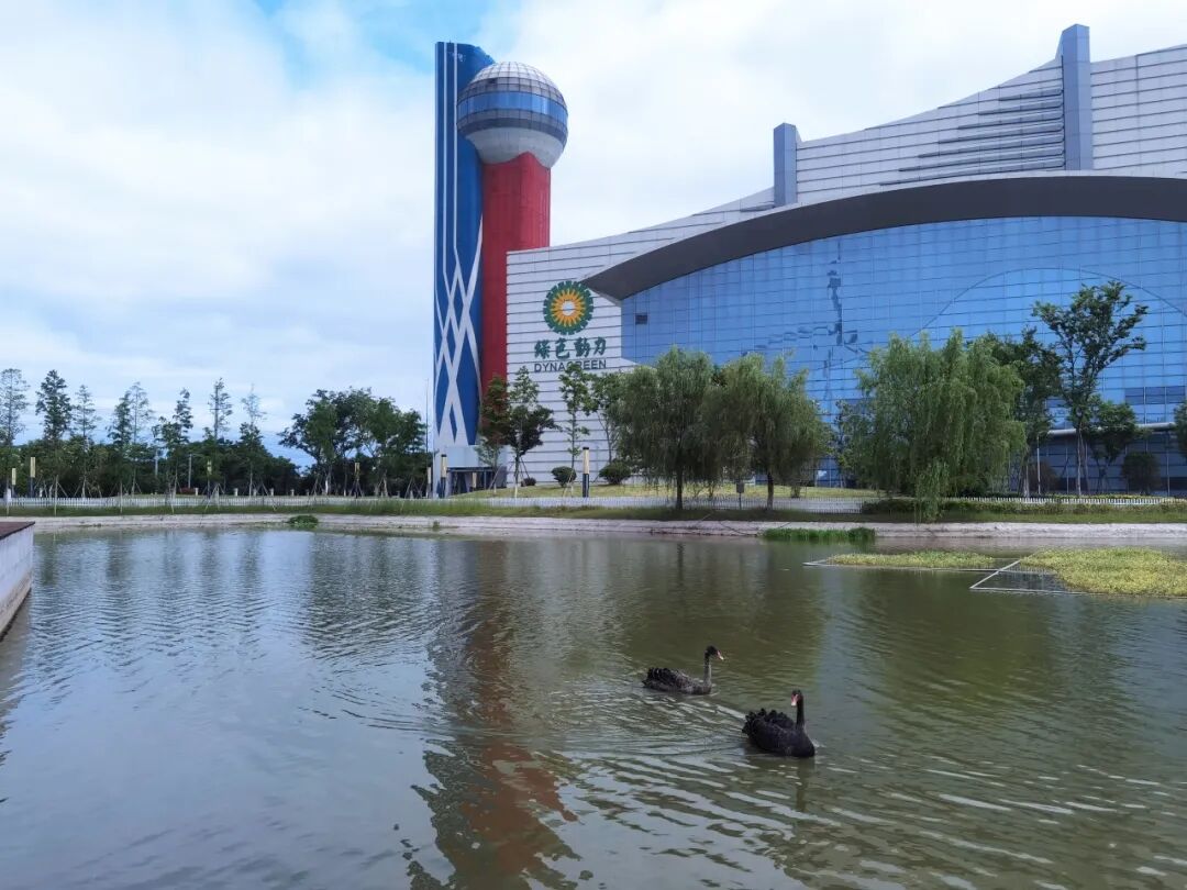 IM电竞集团获批发行10亿元中期票据 融资渠道再拓宽